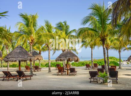 Palm Beach, Isla Holbox, Quintana Roo, Messico Foto Stock