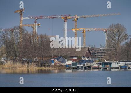 Nuovi appartamenti, Maselakepark, Hakenfelde, Spandau, Berlino, Germania Foto Stock