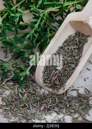 erbe di timo essiccate in paletta di legno su superficie rustica Foto Stock