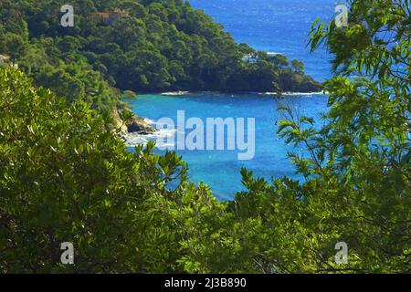 La costa a le Canadel Var Foto Stock