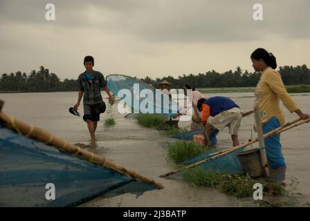 Agricoltori che pescano con reti da pesca su un campo di riso allagato come fonte alternativa di cibo a Batujaya, Karawang, Giava occidentale, Indonesia. Foto Stock