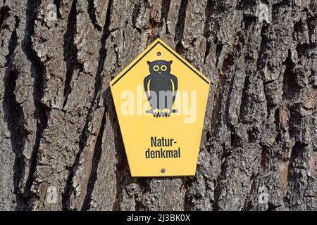Cartello tedesco su tronco d'albero 'Naturdenkmal' (monumento naturale) Foto Stock