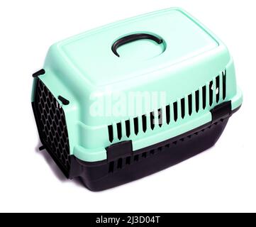 immagine isolata, portatore di gatto a seguire la clinica di veterinario, bellissimi gatti domestici, gatti in casa, animali domestici, andare al veterinario, viaggiare con un gatto Foto Stock