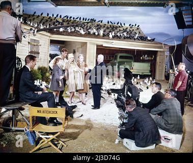 VERONICA CARTWRIGHT ROD TAYLOR TIPPI HEDREN JESSICA TANDY sul set candid con ALFRED HITCHCOCK e Movie Crew durante le riprese in studio del regista DEGLI UCCELLI 1963 ALFRED HITCHCOCK dalla storia di Daphne Du Maurier sceneggiatura Evan Hunter Alfred J. Hitchcock Productions / Universal pictures Foto Stock