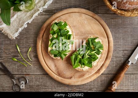 Due fette di pane di pasta madre con burro e aglio selvatico - pianta commestibile raccolta in primavera Foto Stock