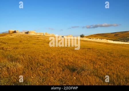 Tel Arad all'alba, Negev, Israele Foto Stock