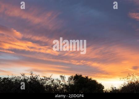 Tramonto africano sul Parco Nazionale degli Elefanti di Addo Foto Stock