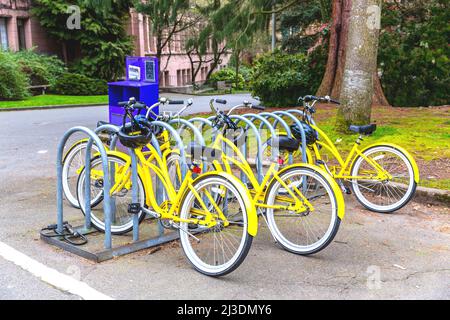 Biciclette gialle in fila su un parcheggio a noleggio Foto Stock