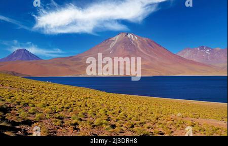 Vista panoramica sulla valle arida solitaria asciutta con ciuffi di erba, nelle ande montagne, altiplanico miscanti brackish profondo lago d'acqua blu, vulcano picco - Atacama Foto Stock