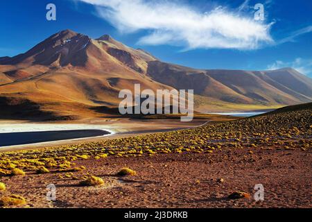 Vista panoramica sulla valle arida solitaria asciutta con ciuffi di erba nelle ande montagne, altiplanico miscanti laghi salmastri - deserto Atacama, Cile Foto Stock