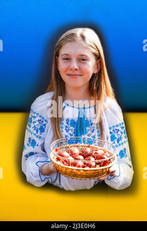 Defocus ragazza ucraina in vyshyvanka che tiene un cestino di uova rosse colorate su sfondo blu e giallo. Pasqua, bandiera Ucraina. Raccolta di pysanka o. Foto Stock