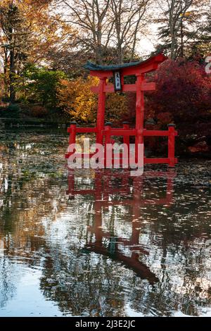 Il Torii rosso-arancio in legno nel laghetto del giardino giapponese presso il Brooklyn Botanic Garden Foto Stock
