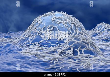 Cellule tumorali dell'ependimoma (tumore del cervello) - vista laterale illustrazione 3D Foto Stock