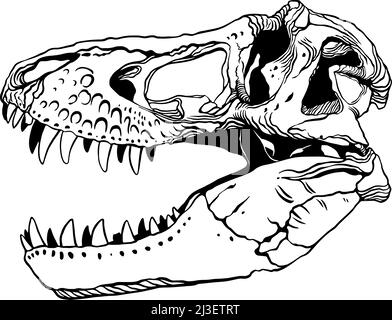 Cranio Tyrannosaurus. Illustrazione vettoriale Illustrazione Vettoriale