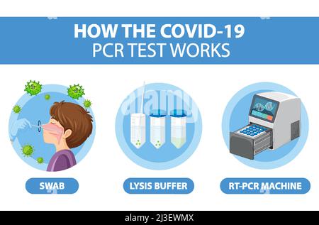 Diagramma di test del Covid 19 con illustrazione del kit di test dell'antigene Illustrazione Vettoriale