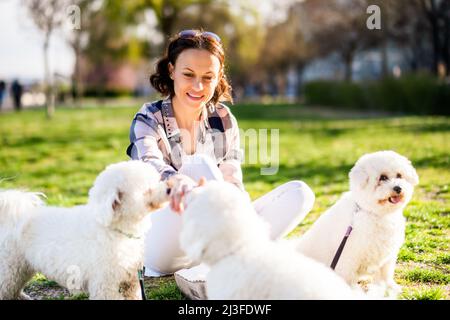 Donna felice sta giocando con i suoi cani bianchi frise bichon in giornata di sole nel parco. Foto Stock