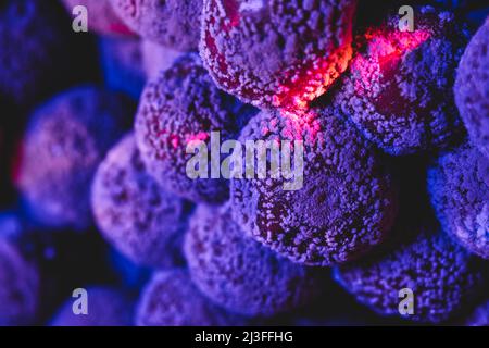 Mold Cherry macro in viola chiaro Foto Stock