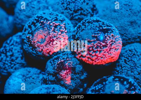 Mold Cherry macro in luce blu Foto Stock