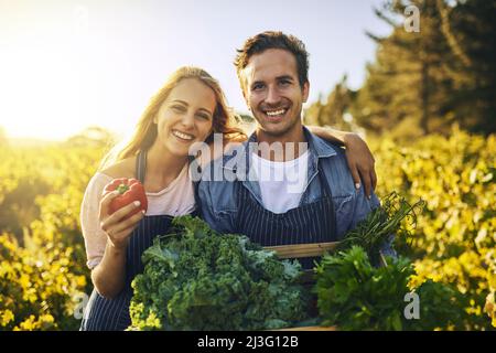 Sembrano buoni e hanno un sapore ancora migliore. Scatto di un giovane uomo e di una donna che lavorano insieme in una fattoria. Foto Stock