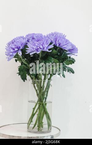 Fiori di crisantemi in vaso di vetro trasparente su sfondo bianco. Foto Stock