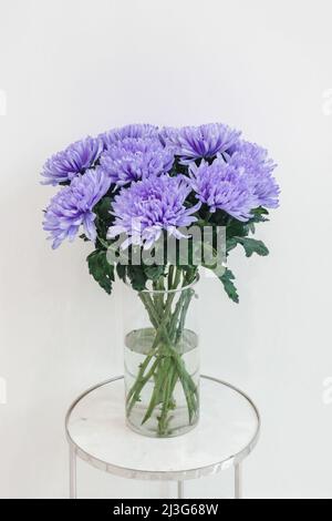 Fiori di crisantemi in vaso di vetro trasparente su sfondo bianco. Foto Stock