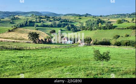 Paesaggio tipico di campagna della Transilvania, Romania Foto Stock