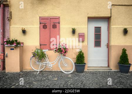 Bicicletta retrò bianca con fiori a Sibiu, Romania Foto Stock