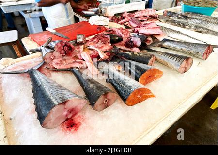 Dubai. EMIRATI ARABI UNITI. Il mercato del pesce Foto Stock