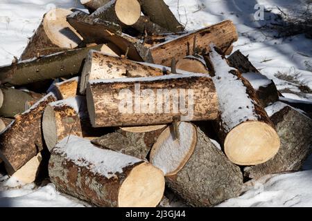 Mucchio di legna da ardere con grandi tronchi coperti di neve in una giornata di sole Foto Stock