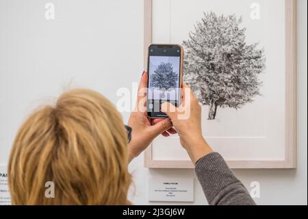 Londra, Regno Unito. 8th Apr 2022. Opera di Pamela Taylor - RHS Botanical Art & Photography Show presso la Saatchi Gallery. Lo spettacolo è aperto da sabato 9th aprile a venerdì 29th aprile 2022. Credit: Guy Bell/Alamy Live News Foto Stock