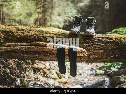 Coppia di stivali alti da trekking che si asciugano con calze bagnate sullo sfarzato su un ruscello di foresta sotto il caldo sole autunnale. Persone attive nella natura c Foto Stock