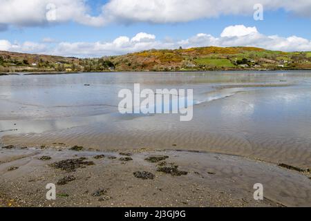 Mud Flats Leap Estuary West Cork Irlanda a bassa marea Foto Stock