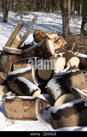 Tronchi di legno accumulati sullo sfondo della neve e coperti di neve Foto Stock