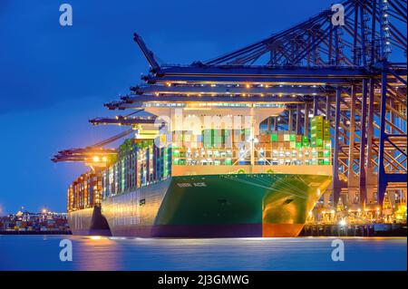 Ever Ace (Evergreen), la portaerei ultra-large del porto di Felixstowe - Settembre 2021. Foto Stock