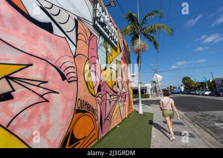 Stati Uniti, Florida, Miami, murales nel distretto di Wynwood Foto Stock