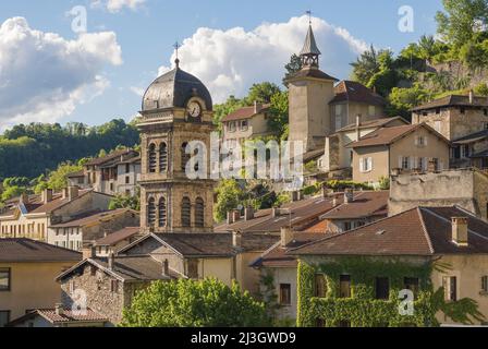 Francia, Isere (38), Parco Naturale Regionale del Vercors, Pont en Royans, le case appese sulla scogliera sopra il fiume Bourne Foto Stock