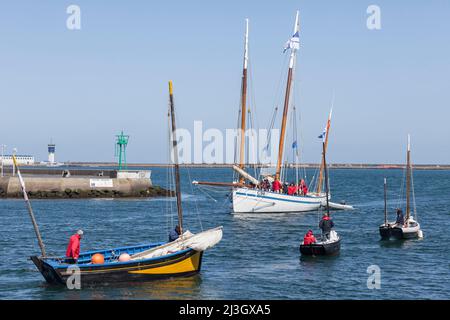 Francia, Manica, Cotentin, Cherbourg-Octeville, porto turistico di Chantereyne, vela su piccole barche da pesca tradizionali Foto Stock