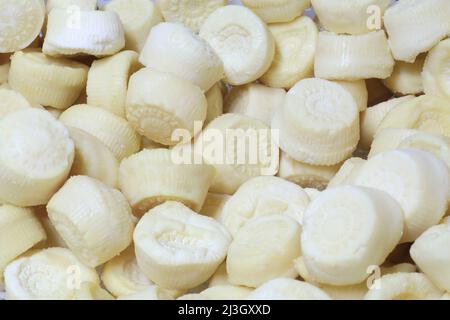 Malta, Haz-Zebbug, azienda agricola tal Karmnu, produzione di gbejna (formaggio di pecora locale) Foto Stock