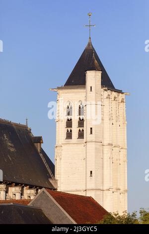 Francia, Normandia, Eure (27), Valle del Risle, Pont-Audemer, Etichettato il Detours più bello di Francia, soprannominato la piccola Venezia di Normandia, weathervane e campanile di Saint-Ouen chiesa (16th secolo) Foto Stock