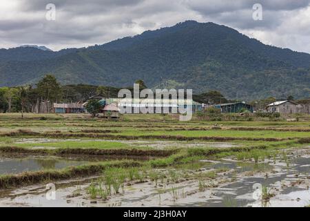 Filippine, Palawan, Puerto Princesa, prigione di Iwahig e fattoria penale, vista generale di edifici, campi di riso e la montagna sullo sfondo Foto Stock