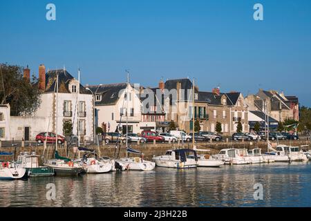 Francia, Loira Atlantica, penisola di Guerande, le Croisic, il porto Foto Stock
