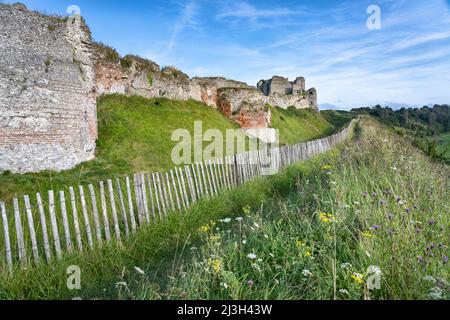 Francia, Seine Maritime, Arques la Bataille, il castello del XII secolo la fortezza Foto Stock