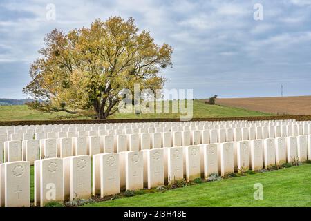 Francia, Seine Maritime, Hautot-sur-Mer, cimitero Vertus, cimitero militare canadese a Dieppe, 955 soldati sono sepolti, la maggior parte dei quali morti durante l'operazione Jubilee, sbarco alleato a Dieppe nel 1942 Foto Stock