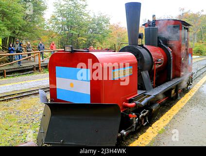 La storica ferrovia o TRENO della Fuegian meridionale DELLA FINE DEL MONDO nel Parco Nazionale della Terra del fuoco, Patagonia, Argentina Foto Stock