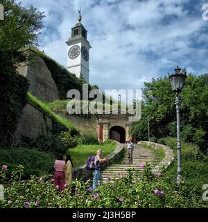 PETROVARADIN, SERBIA - 24 LUGLIO 2018: I turisti scattano foto sotto la Torre dell'Orologio nella Fortezza di Petrovaradin Foto Stock