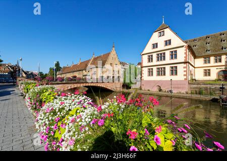 Francia, Bas Rhin, Strasburgo, città vecchia sono classificati come patrimonio mondiale dall' UNESCO, il museo storico di Strasburgo Foto Stock