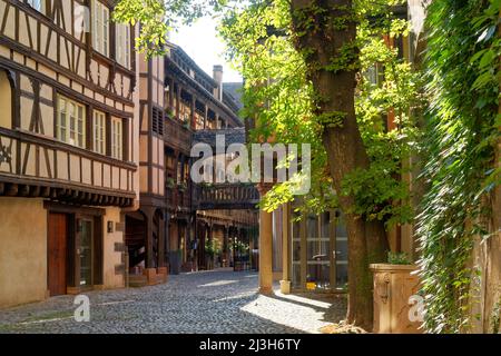 Francia, Bas Rhin, Strasburgo, città vecchia dichiarata Patrimonio dell'Umanità dall'UNESCO, Cour du Corbeau, la Cour du Corbeau Hotel, completamente ristrutturato, vista sul cortile Foto Stock