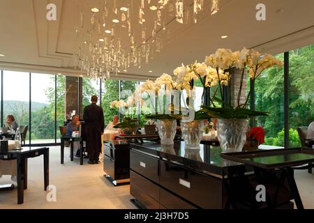 Francia, Bas Rhin, Wingen sur Moder, Villa Rene Lalique, ristorante 2 stelle MICHELIN Foto Stock