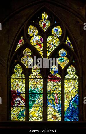 Francia, Mosella, Metz, Cattedrale di Saint Etienne, la vetrata della creazione, vetrate del deambulatorio settentrionale che hanno per soggetti episodi dal Vecchio Testamento di Marc Chagall (20th secolo) fatto da Simon Marq laboratorio a Reims Foto Stock