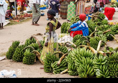 Uganda, distretto Kasese, Katwe, mercato Katwe, donne che vendono matooke (plantain) Foto Stock